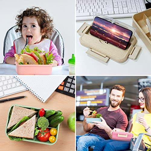 Sinwind Lunch Box, Bento Box, Bento Box para niños, Fiambrera de Seguridad de Trigo Natural de 1300 ml, Separador | el tamaño Alimentos (Verde)