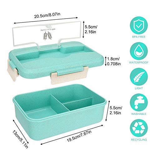 Sinwind Lunch Box, Bento Box, Bento Box para niños, Fiambrera de Seguridad de Trigo Natural de 1300 ml, Separador | el tamaño Alimentos (Verde)