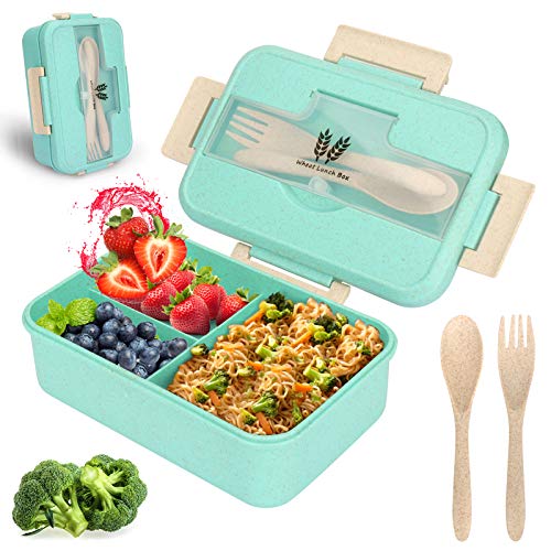 Sinwind Lunch Box, Bento Box, Bento Box para niños, Fiambrera de Seguridad de Trigo Natural de 1300 ml, Separador | el tamaño Alimentos (Verde)