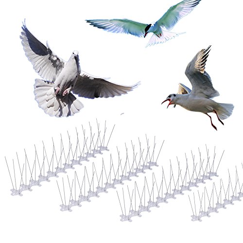 Skycabin Pack de 10 pinchos para ahuyentar pájaros Pinchos para ahuyentar pájaros de acero inoxidable Keep pájaros palomas y gaviotas,Anti Pájaro y palomas