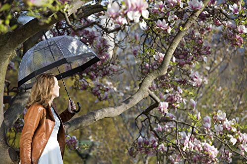 SMATI Paraguas Largo Transparente con Lunares Negros en Forma de Campana y su apuerta automatica