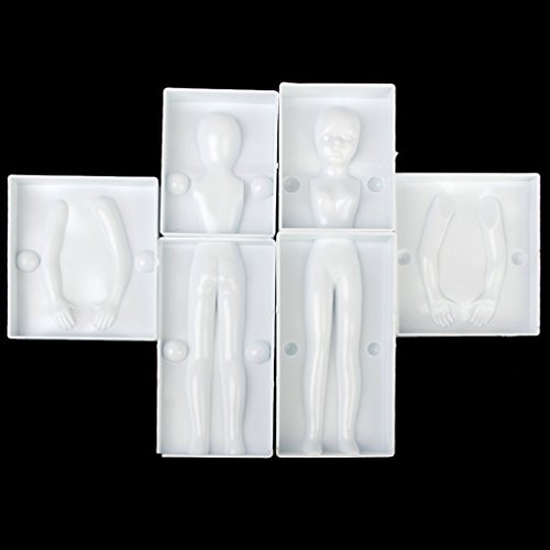 SODIAL 6pzs 3d Partes de figura del cuerpo de mujer Molde de pastel fondant decoracion del arte de azucar