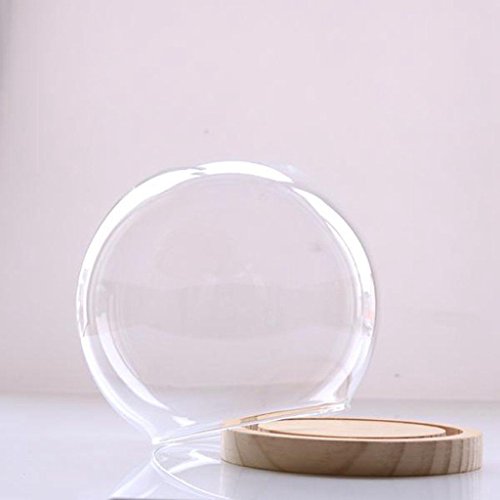 SODIAL Campana de Cristal Decorativa con Piso de Madera, contenedor de Vidrio Transparente Micro-Paisaje Jardin DIY Decoracion de contenedor terrario - Bola, 15x16cm