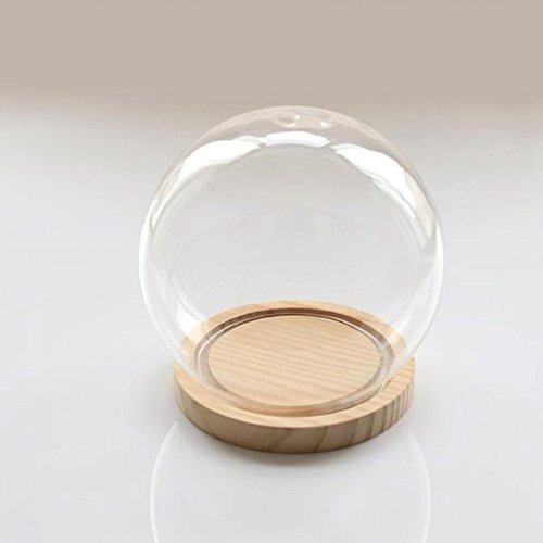 SODIAL Campana de Cristal Decorativa con Piso de Madera, contenedor de Vidrio Transparente Micro-Paisaje Jardin DIY Decoracion de contenedor terrario - Bola, 15x16cm