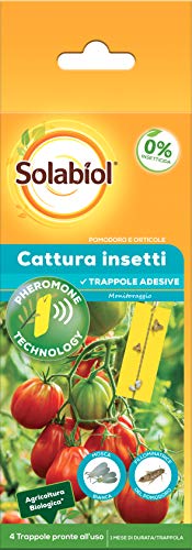 Solabiol Para La Mosca Blanca Y Polilla De Tomate, 4 Placas Trampas Adhesivas contra Insectos, Amarillo, Paquete de 4
