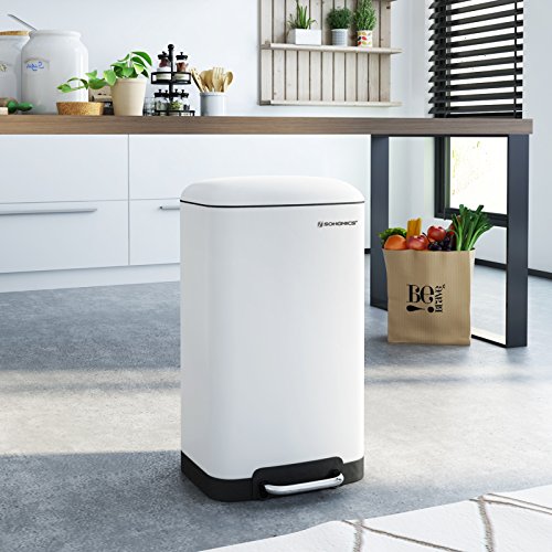 SONGMICS Basurero Cubo de Cocina Contenedor de residuos Cubeta Interior con Pedal 30 L Blanco LTB01W