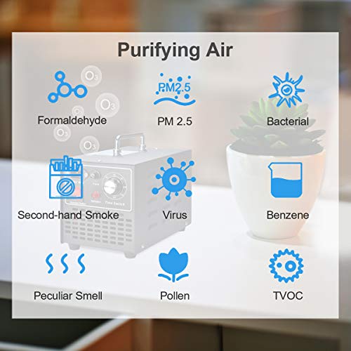 Songway Ozone Generator Esterilizador de aire para eliminar olores, para hogar, cocina, automóvil, garaje, autobús, barco, restaurante, tienda, purificador de aire - Enchufe de la UE (10000mg/h)