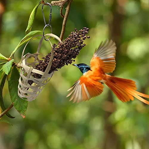 Soporte para Alimentos para Pájaros, Loros, Juguete para Masticar, Comida para Pájaros, Cesta Colgante, Alimentador De Golosinas, Percha Alimentos para Pájaros