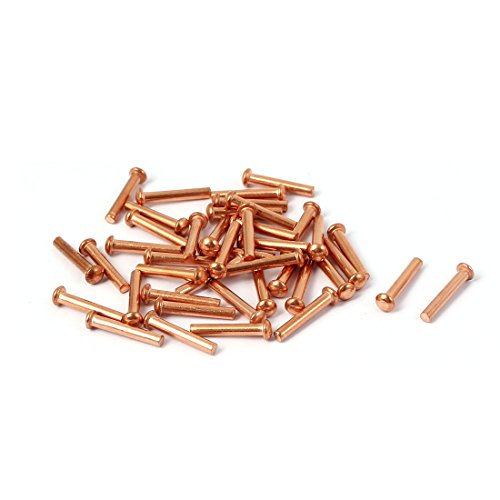 SOURCING MAP Sourcingmap-13mm longitud 2mm x 12mm Cabeza Redonda Cobre Macizo Remaches Cierres Hardware 60Pcs