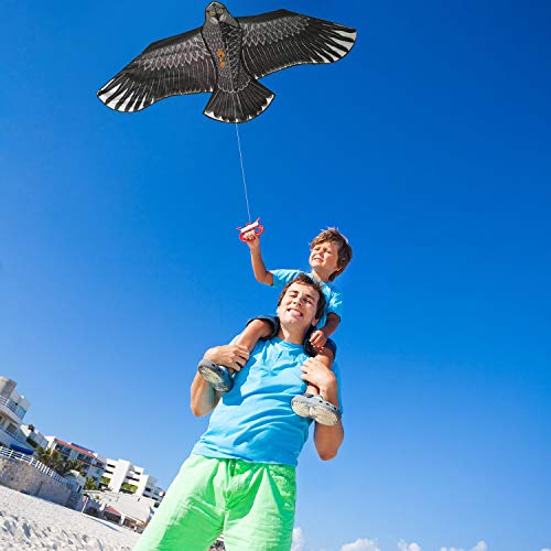 Sun Kites Gran Cometa De águila Negra para Niños y Adultos - Gran envergadura y diseño Realista - Muy fácil de Volar - Se ve excelente en el Cielo