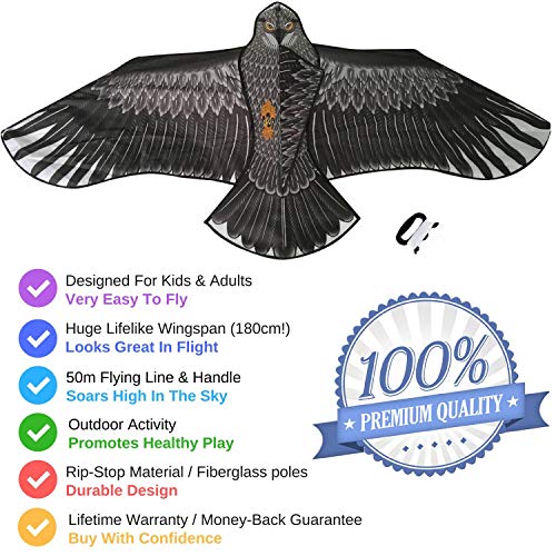 Sun Kites Gran Cometa De águila Negra para Niños y Adultos - Gran envergadura y diseño Realista - Muy fácil de Volar - Se ve excelente en el Cielo