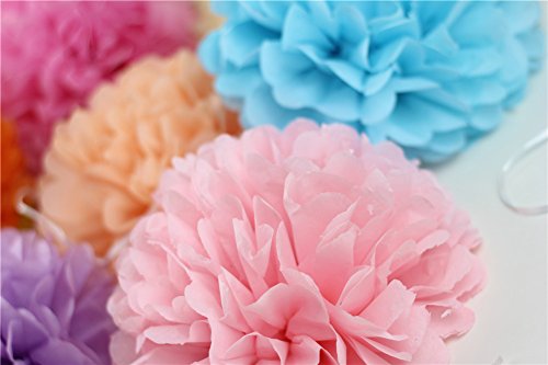 Sunbeauty 20 Piezas Pom Poms Bola de Papel Decoraciones de Baby Shower Boda Fiesta Santa Semana (Mixto de Color Claro)