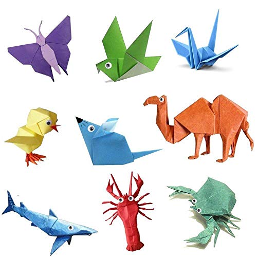 sunerly 200 hojas 50 colores vivos sola cara papel para Origami para proyectos de arte y manualidades + 100pcs con Googly Ojos móviles (100 hojas, 15 x 15 cm + 100 hojas 10 x 10 cm)