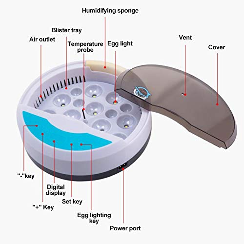 Szseven Incubadora automática de Huevos Criador de Huevos Digital Dispositivo de cría de Aves de Corral para Pollos, Patos, Aves de Ganso (Huevos de 9 Piezas)