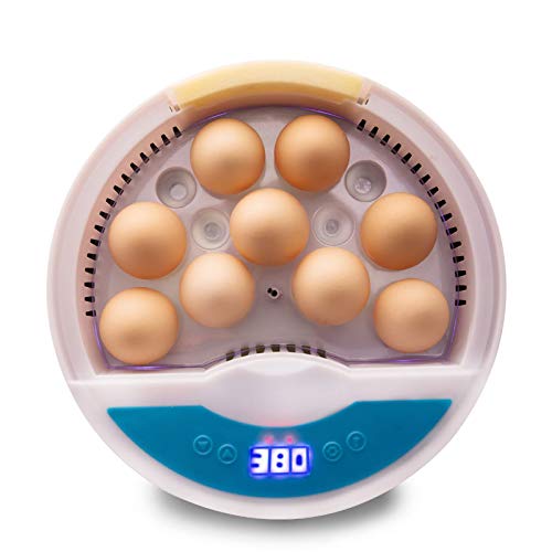 TACKLY Incubadora automática de huevos gallina aves pollos – incubadora digital 9/12 huevos de polluelos con control de temperatura – ideal uso corral o uso doméstico regalo niños