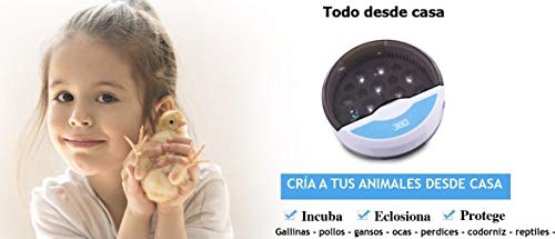 TACKLY Incubadora automática de huevos gallina aves pollos – incubadora digital 9/12 huevos de polluelos con control de temperatura – ideal uso corral o uso doméstico regalo niños