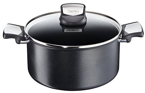 Tefal Expertise - Cacerola 24 cm y 5 L de capacidad, con tapa, antiadherente con extra de titanio, aptas para todo tipo de cocinas incluido inducción