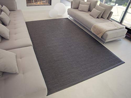 TEJIDOS EL MUNDO Alfombra SALÓN Vinilo Lisa 170x240 cm Gris