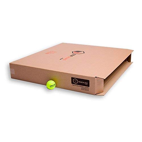 TeleCajas® | (10x) Cajas para Cuadros, Espejos, Televisor | 81x13x69 cms | Solapa Doble y Canal Doble Resistente