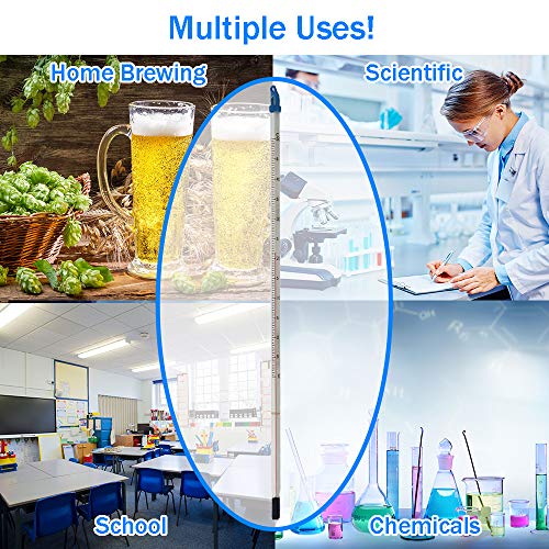Termómetro quienes hacen cerveza casera, vino, sidra o aguamiel, para uso científico, en laboratorio, va de -10 a +110 °C, hecho en el Reino Unido