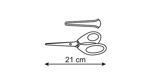 Tescoma 888220 Tijera de Cocina Hierba Verde, Acero Inoxidable 21 cm - Tijeras de Cocina (Hierba, Verde, Acero Inoxidable, Acero Inoxidable, De plástico, Universal, Presto)