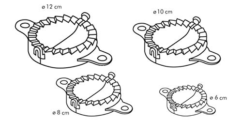 Tescoma JGO 4 MOLDES EMPANADILLAS Delicia, Blanco