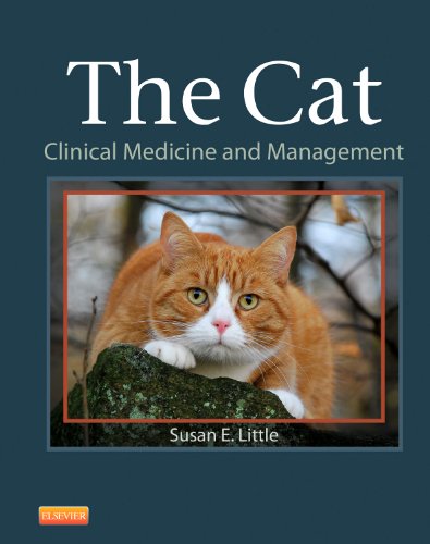 The Cat: Clinical Medicine and Management, 1e