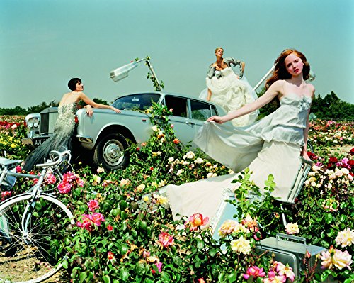 Tim Walker, Pictures - Small Edition (Photographer)