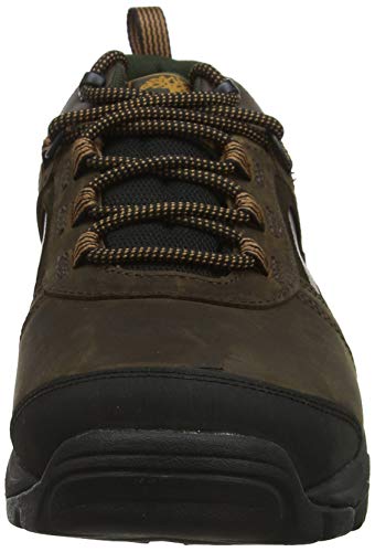 Timberland MT. Major Low Leather Gore-Tex, Zapatos de Cordones Oxford para Hombre, Marrón MD Brown Full Grain, 44 EU