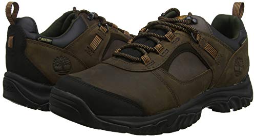 Timberland MT. Major Low Leather Gore-Tex, Zapatos de Cordones Oxford para Hombre, Marrón MD Brown Full Grain, 44 EU