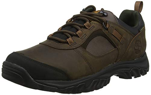 Timberland MT. Major Low Leather Gore-Tex, Zapatos de Cordones Oxford para Hombre, Marrón MD Brown Full Grain, 44 EU