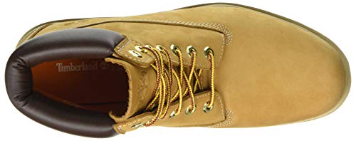 Timberland Radford 6 Inch Waterproof, Botas Chukka para Hombre, Amarillo Wheat Nubuck, 43 EU