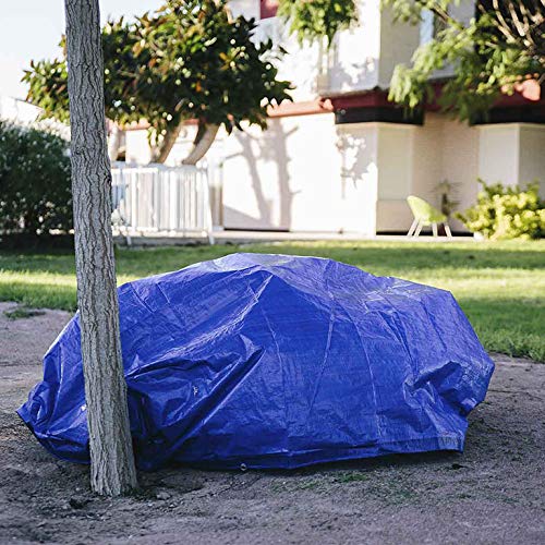 Toldo reforzado gramaje 90 grs, 3 x 2 m, color azul - Catral 560110