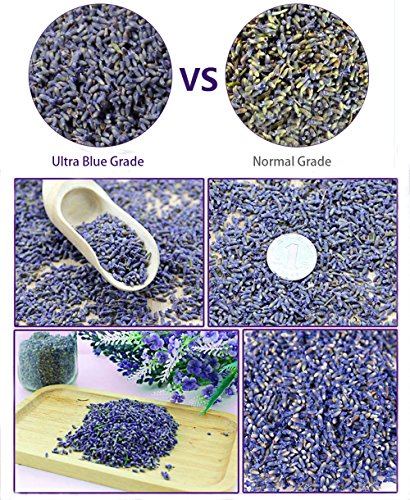 TooGet Los Brotes de La Lavanda Secaron Las Bolsitas del Desodorante de Las Flores, Grado Ultra Azul - 6PCS