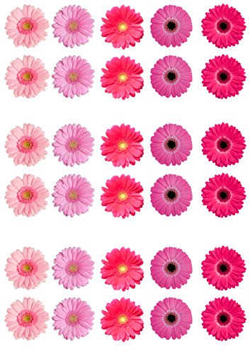 Top That - Rosas de oblea para decorar pasteles (30 unidades), diseño de gerbera, color rosa