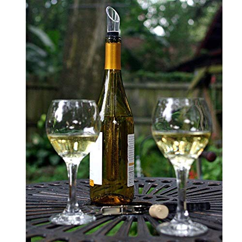 Topbrewing™ Vino Enfriador de Botella Barra con Botella Vertedor ✰ Diseñado para Mantener Tu Vino Refrigerados ✰ Acero Inoxidable Enfriar Barra con Aireador Vino ✰