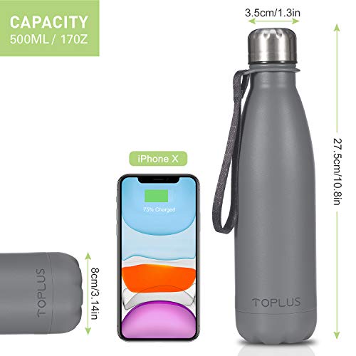 TOPLUS Botella de Agua Acero Inoxidable 304 Termo - 500ml, Termo Sin BPA Ecológica Reutilizable, Botella Termica con Pajita y Filtro, Water Bottle para Niños & Adultos, Deporte, Oficina (Gray)