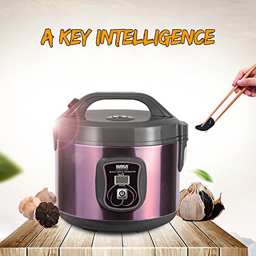 TOPQSC Fermentador de ajo Negro Todo-en-uno máquina de fermentación Inteligente ajo pote eléctrico para hogar Olla de ajo Negro automático (3L)