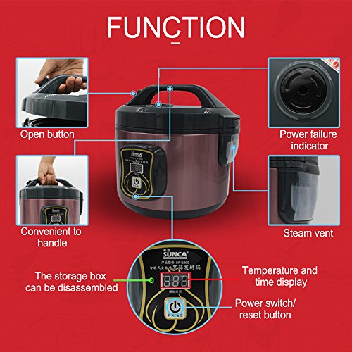 TOPQSC Negro Fermentador de Ajo Eléctrico Negro Máquina de Fermento de Ajo DIY Hogar Automático Olla de Jardín (3L)