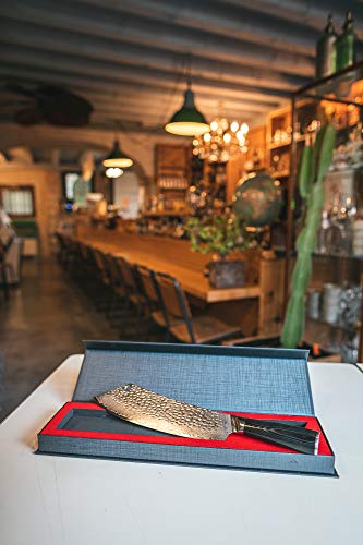 Totiko Japan Knives - Cuchillo de cocina japonés profesional para carne, barbacoa con texto "Special Martillato Musashi - Hoja de 24 cm - 10 pulgadas - Caja de cartón con cierre magnético incluida