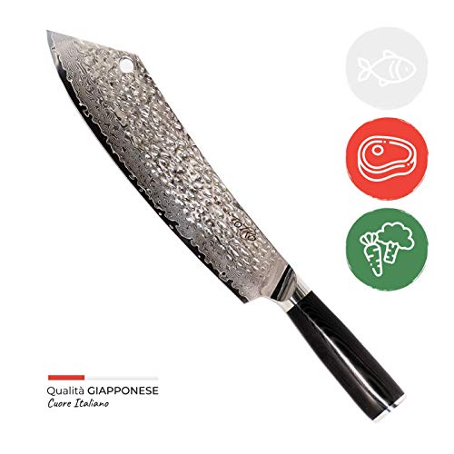 Totiko Japan Knives - Cuchillo de cocina japonés profesional para carne, barbacoa con texto "Special Martillato Musashi - Hoja de 24 cm - 10 pulgadas - Caja de cartón con cierre magnético incluida