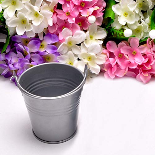 Toyvian 6 unids Mini Cubo de Metal Lindo Cubos de Caramelo de Chocolate Caja de Banquete de Boda Favor DIY Lata de Estaño Pails Plantas Pequeñas Cucharones