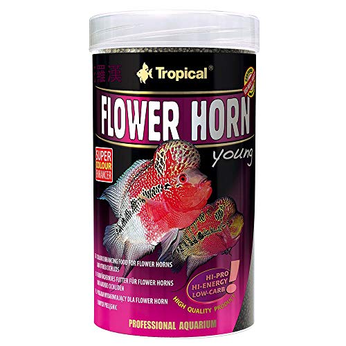 Tropical Flower Horn Young Pellet, 1er Pack (1 x 250 ml)