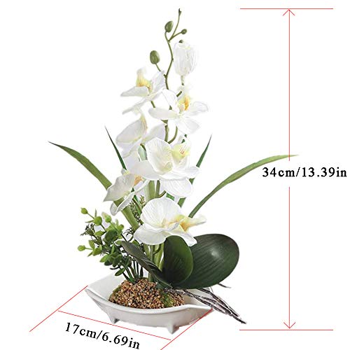 True Holiday Flores Artificiales de orquídea con jarrón de Porcelana Blanca, decoración de Centro de Bonsai Artificial, Flores de plástico, Realista y Realista