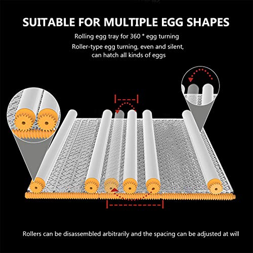 TZUTOGETHER Incubadora Automática 16 Huevos,incubadoras de huevos automaticas,incubadoras de pollitos,pantalla digital Incubadora inteligente para el hogar Control automático de temperatura y giro