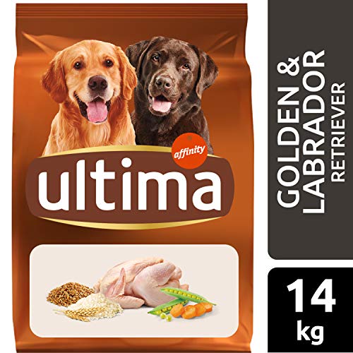 Ultima Pienso para Perros Golden y Labrador Retriever con Pollo - 14 kg