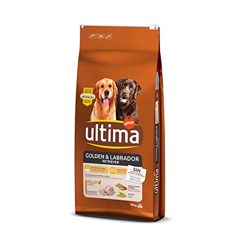 Ultima Pienso para Perros Golden y Labrador Retriever con Pollo - 14 kg