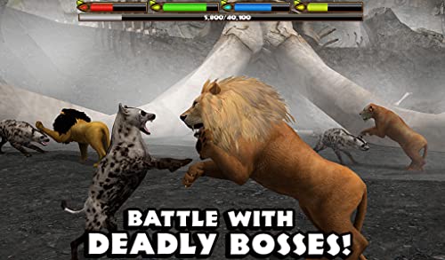 Ultimate Lion Simulator