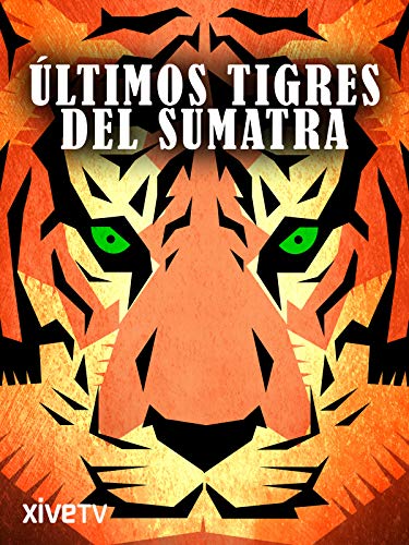 Últimos tigres del Sumatra