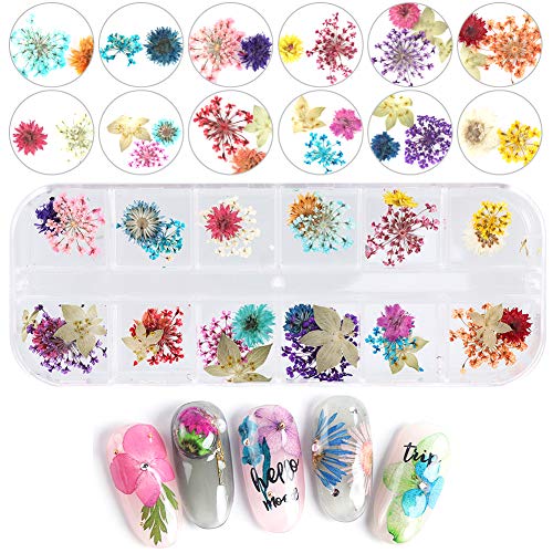 upain 4 Cajas Lentejuelas de Uñas 3D Holográfica Glitter Uñas Purpurina de Uñas Decoración de Manicura de Purpurinas Brillantina Mariposa Flores Secas Estrella Lunar Nail Art Foil Glitter 48 Diseños